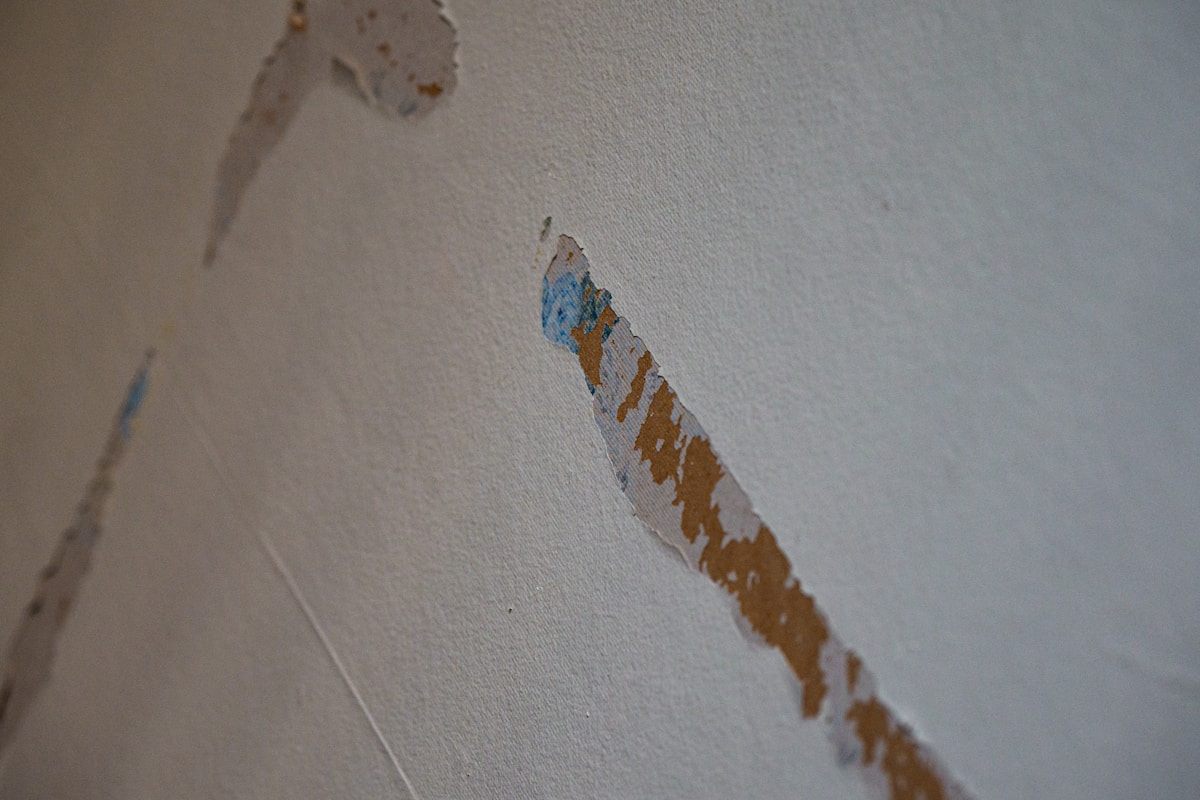 Mold Remediation service in Daly City, CA